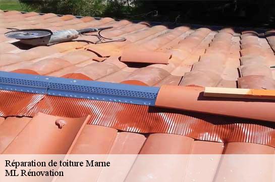 Réparation de toiture Marne 