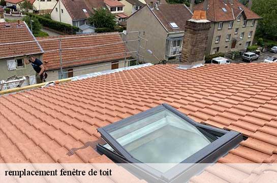 remplacement fenêtre de toit Marne 