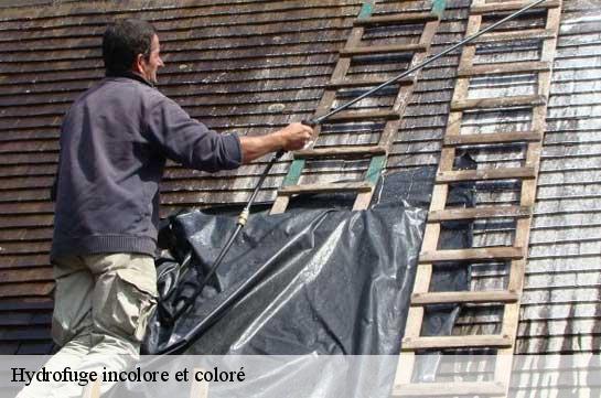 Hydrofuge incolore et coloré Marne 