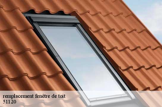 remplacement fenêtre de toit  51120