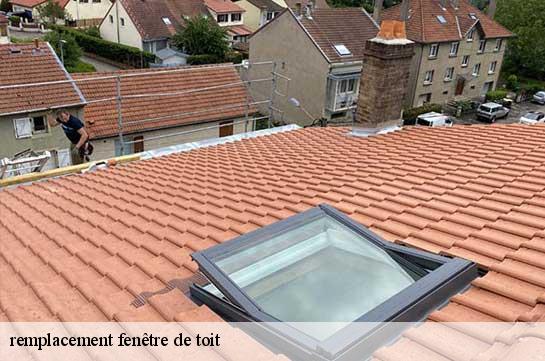 remplacement fenêtre de toit  51250