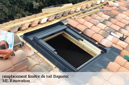 remplacement fenêtre de toit  51260