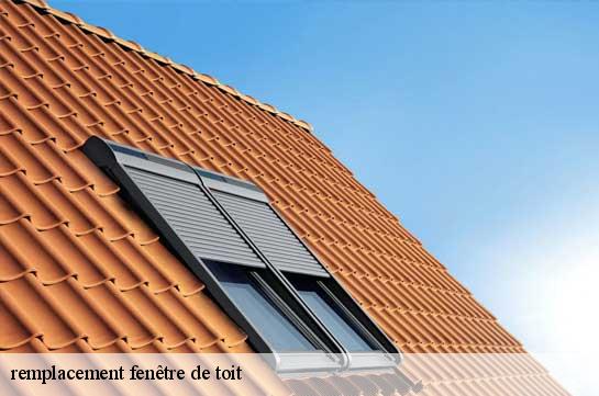 remplacement fenêtre de toit  51000