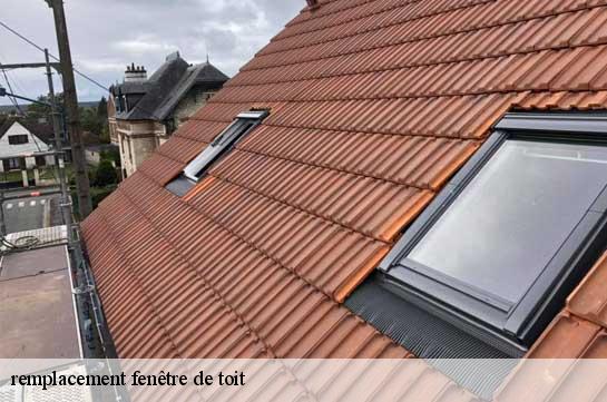 remplacement fenêtre de toit  51000