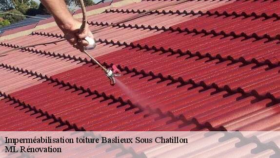 Imperméabilisation toiture  baslieux-sous-chatillon-51700 ML Rénovation
