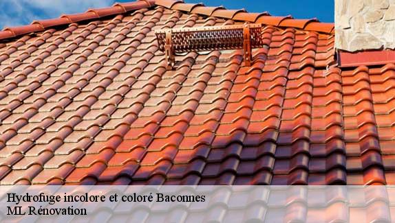 Hydrofuge incolore et coloré  baconnes-51400 ML Rénovation