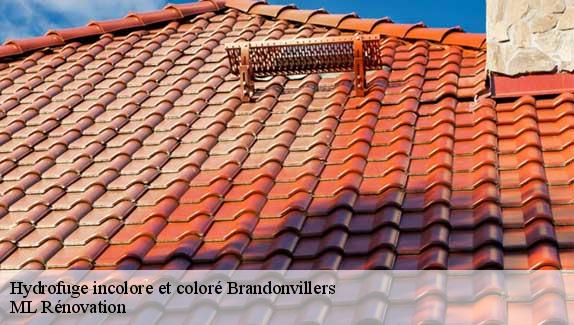 Hydrofuge incolore et coloré  51290