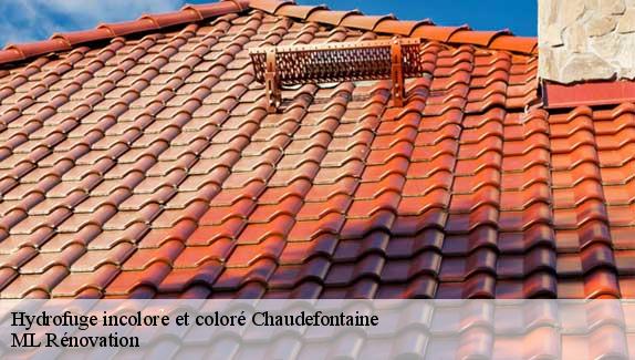 Hydrofuge incolore et coloré  chaudefontaine-51800 ML Rénovation