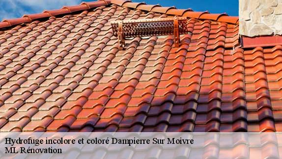 Hydrofuge incolore et coloré  dampierre-sur-moivre-51240 ML Rénovation