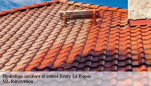 Hydrofuge incolore et coloré  ecury-le-repos-51230 ML Rénovation