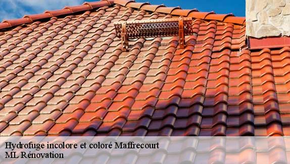 Hydrofuge incolore et coloré  maffrecourt-51800 ML Rénovation