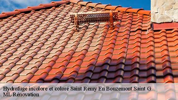 Hydrofuge incolore et coloré  saint-remy-en-bouzemont-saint-g-51290 ML Rénovation