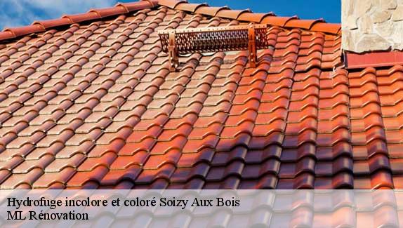 Hydrofuge incolore et coloré  soizy-aux-bois-51120 ML Rénovation