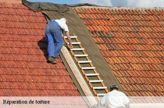Réparation de toiture  51160