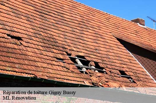 Réparation de toiture  gigny-bussy-51290 ML Rénovation