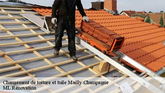 Changement de toiture et tuile  mailly-champagne-51500 ML Rénovation