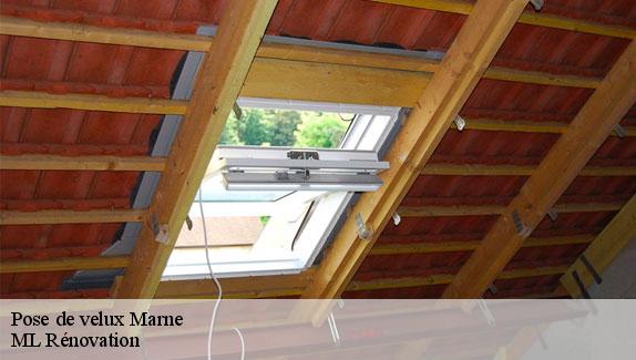 Pose de velux Marne 
