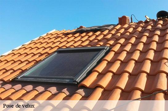 Pose de velux Marne 