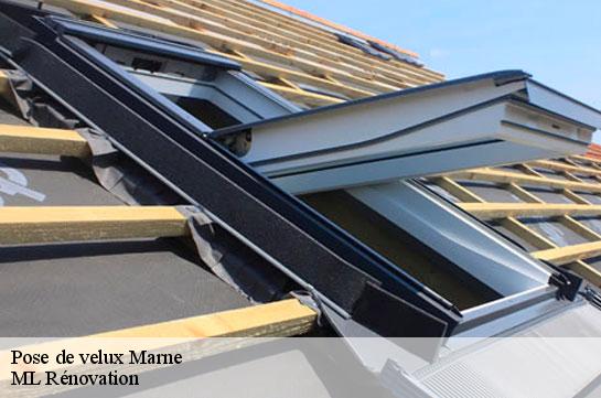 Pose de velux Marne 