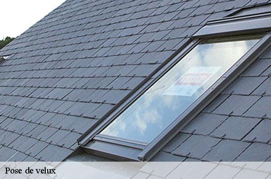 Pose de velux Marne 