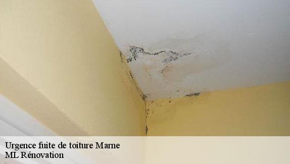 Urgence fuite de toiture Marne 