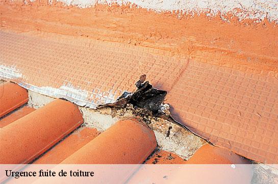 Urgence fuite de toiture Marne 