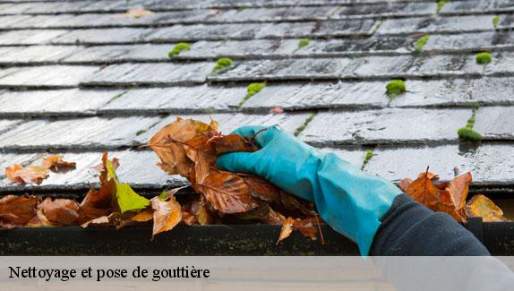 Nettoyage et pose de gouttière Marne 