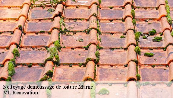 Nettoyage demoussage de toiture Marne 