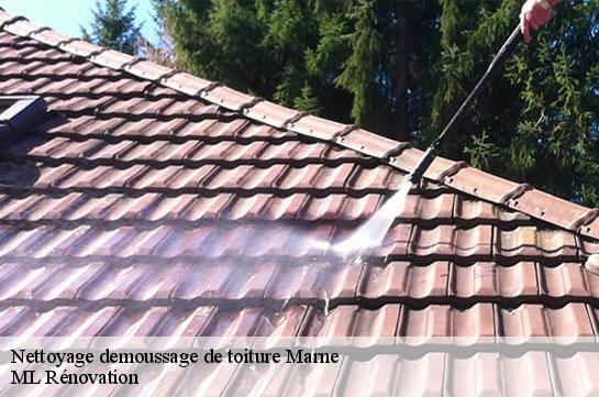 Nettoyage demoussage de toiture Marne 
