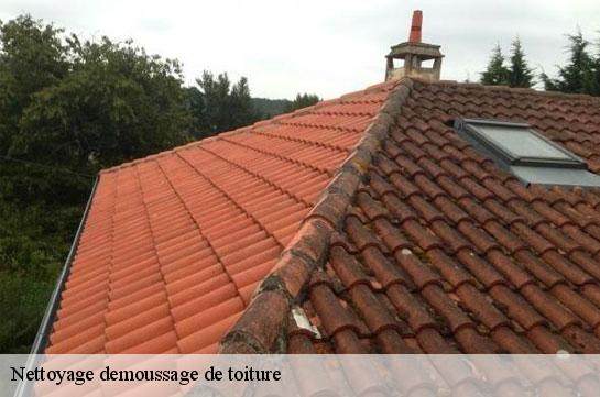 Nettoyage demoussage de toiture Marne 