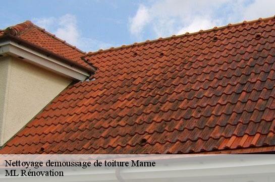 Nettoyage demoussage de toiture Marne 