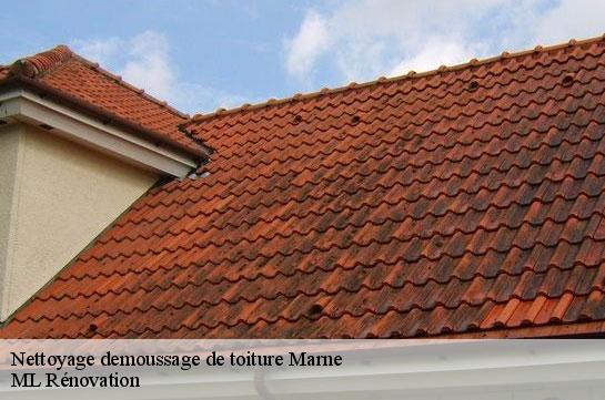 Nettoyage demoussage de toiture Marne 