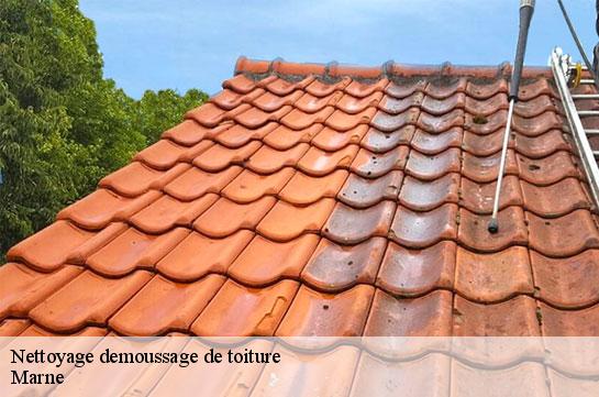 Nettoyage demoussage de toiture Marne 