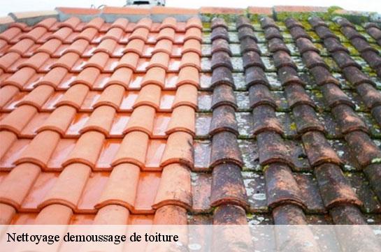 Nettoyage demoussage de toiture Marne 