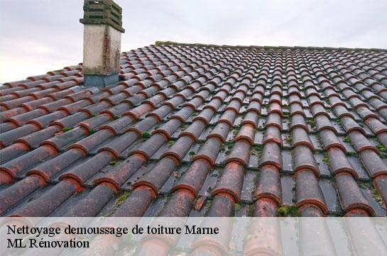 Nettoyage demoussage de toiture Marne 