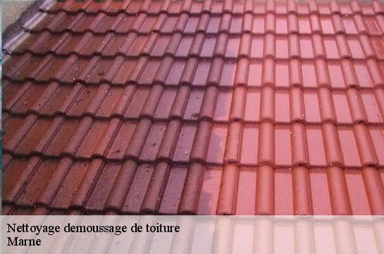 Nettoyage demoussage de toiture Marne 