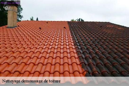 Nettoyage demoussage de toiture Marne 