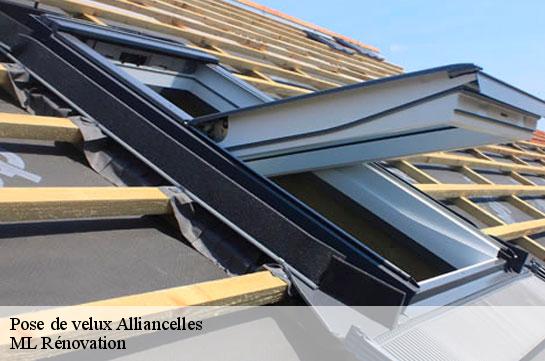 Pose de velux  51250