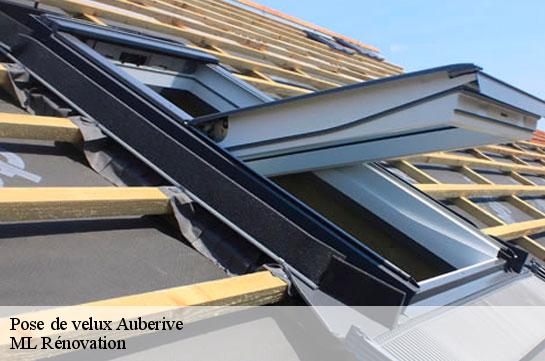 Pose de velux  51600