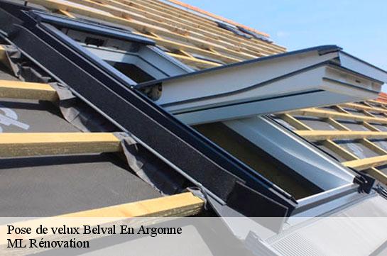 Pose de velux  51330