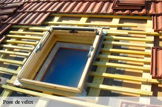 Pose de velux  51200