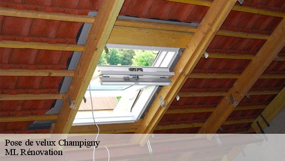 Pose de velux  champigny-51370 ML Rénovation