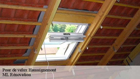 Pose de velux  haussignemont-51300 ML Rénovation