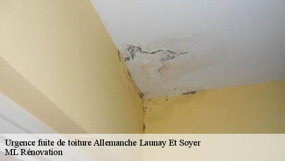 Urgence fuite de toiture  allemanche-launay-et-soyer-51260 ML Rénovation