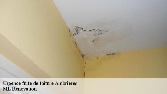 Urgence fuite de toiture  51290