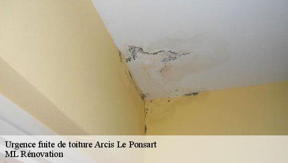 Urgence fuite de toiture  arcis-le-ponsart-51170 ML Rénovation