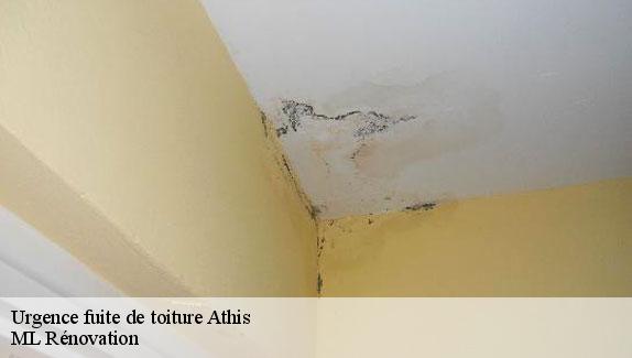 Urgence fuite de toiture  athis-51150 ML Rénovation