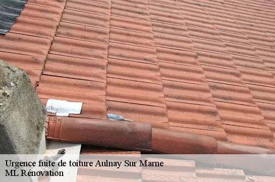 Urgence fuite de toiture  51150