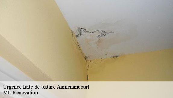 Urgence fuite de toiture  aumenancourt-51110 ML Rénovation