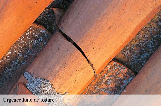 Urgence fuite de toiture  51160